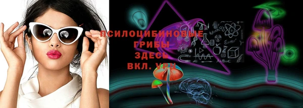 МДПВ Белокуриха