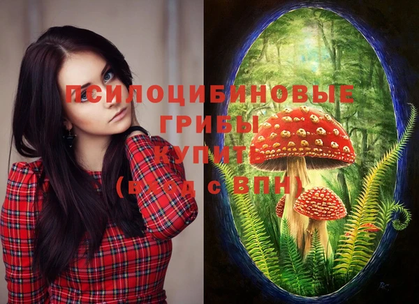ГАЛЛЮЦИНОГЕННЫЕ ГРИБЫ Беломорск