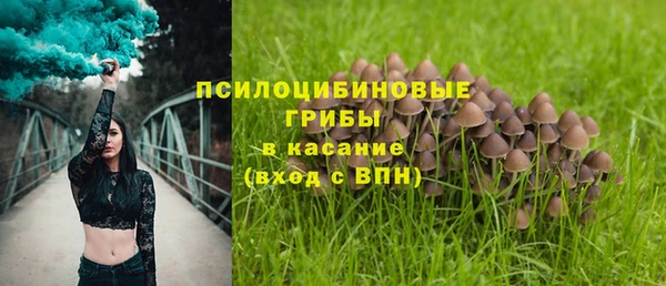 ECSTASY Богородицк