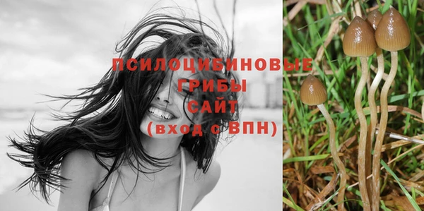 ECSTASY Богородицк