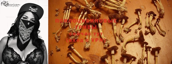синтетический гашиш Белоозёрский