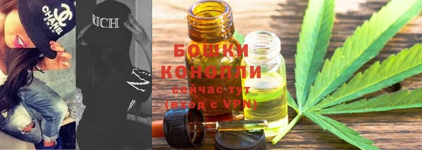 mdpv Богданович