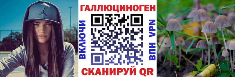 Псилоцибиновые грибы мухоморы Купить закладки Добрянка